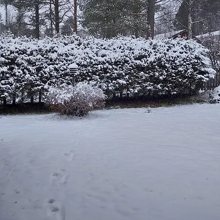 House Of Tonttula Near Santa Claus Village * Rovaniemi